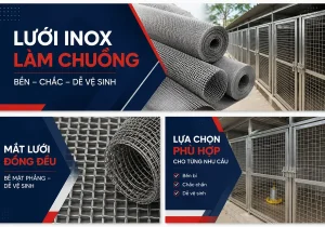 luoi inox lam chuong featured