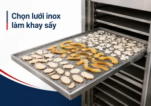 luoi inox lam khay say featured